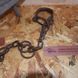 Etiquetas de madera para exposición en Sabucedo del Proyecto GOI Bestas