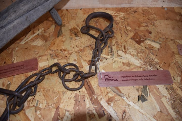 Etiquetas de madera para exposición en Sabucedo del Proyecto GOI Bestas
