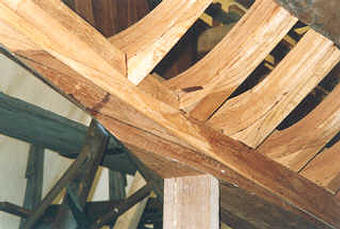 Restoration of 6mR ACACIA