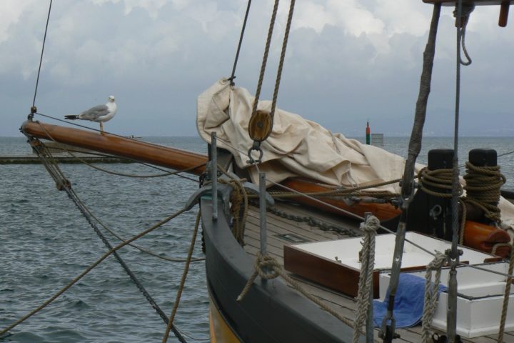  Claves para vender barco de madera