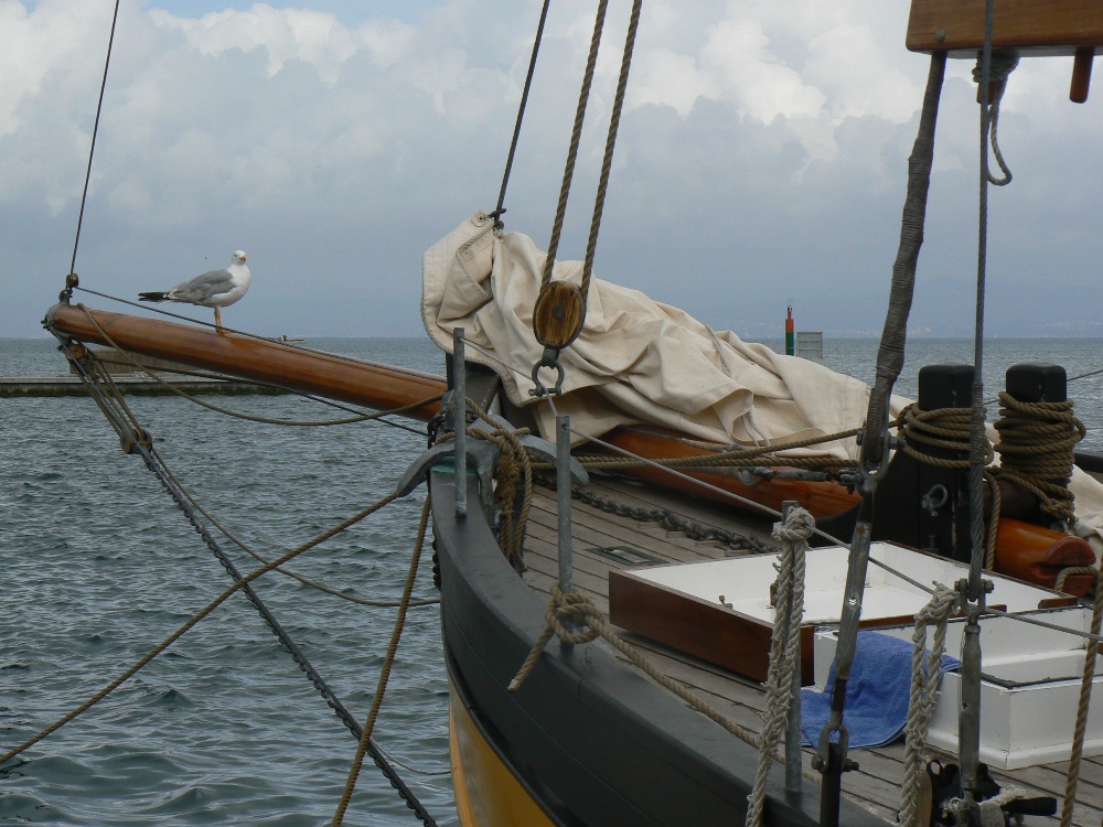  Claves para vender barco de madera