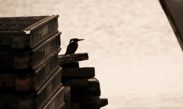 King Fisher at Astilleros Lagos Boatyard